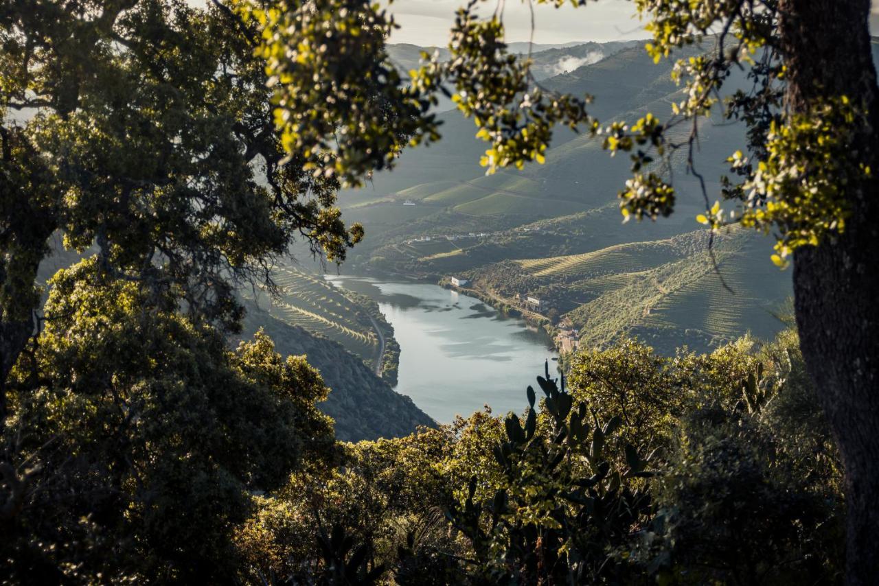 Original Douro Hotel Peso da Régua Kültér fotó